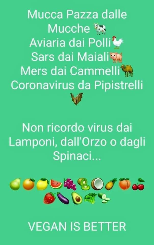 corona virus 89859016_2838947032807892_3738751907133390848_n - copia